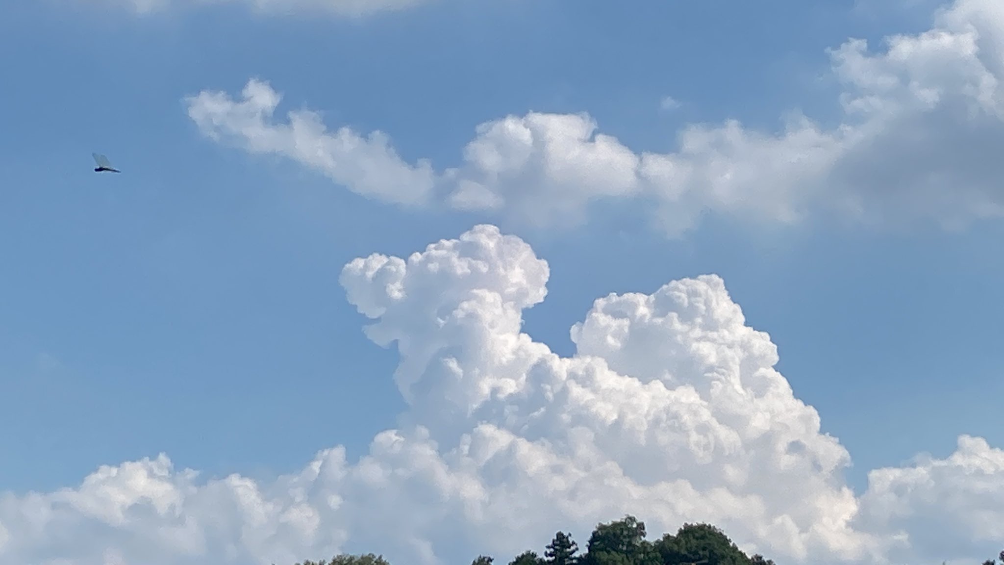 تويتر Ukulele على تويتر イマソラ 夏空 360度もくもく雲 エネルギーを蓄積してます 夕方は雷様 T Co Zwhreria2i