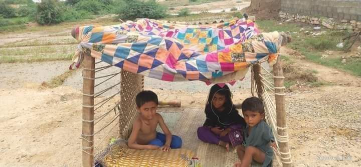 Najeebshahzad tweet media