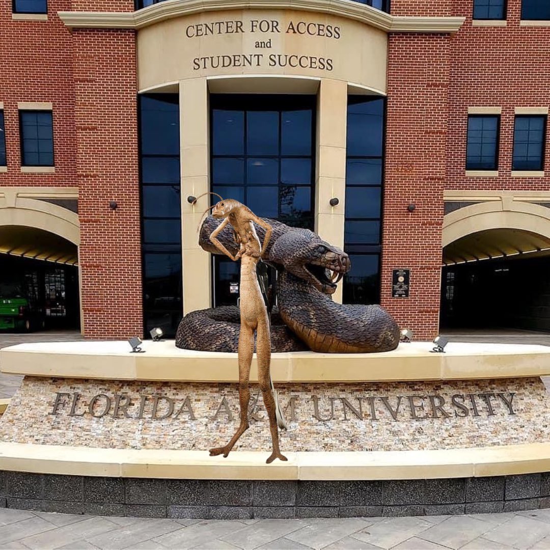 TiffMcSwagg's tweet image. Me if I would’ve tried it