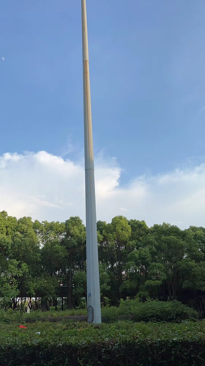 火球鼠弟弟 tweet media