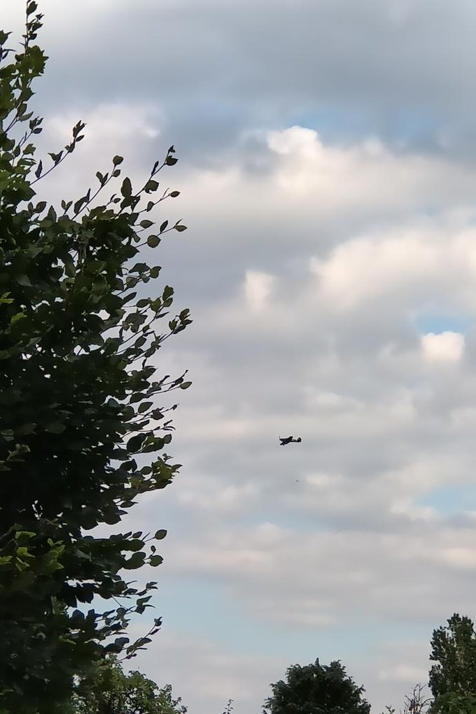 Guy Sutton tweet media