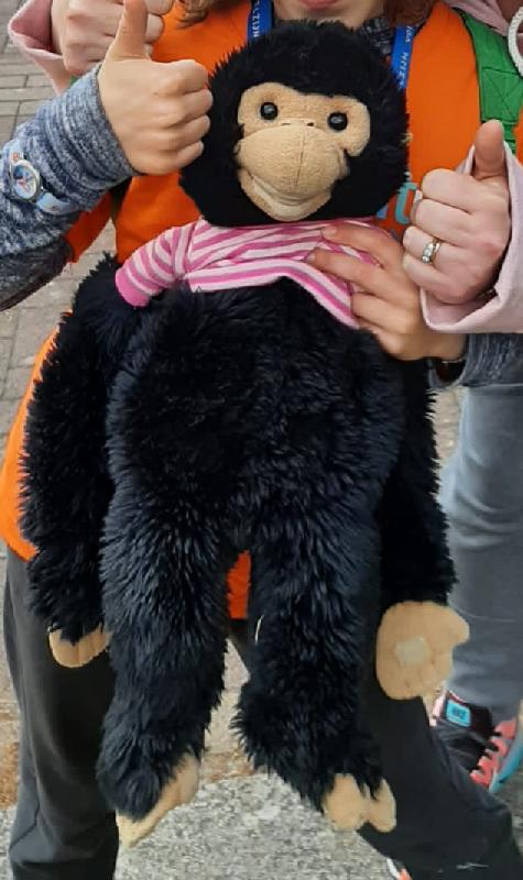lostteddybear's tweet photo. Lost: Monkey is a beloved toy of ... | M25 west-bound before M11 j... | https://t.co/ge3EOi1DCt #LostTeddy https://t.co/BWX4ep09iv