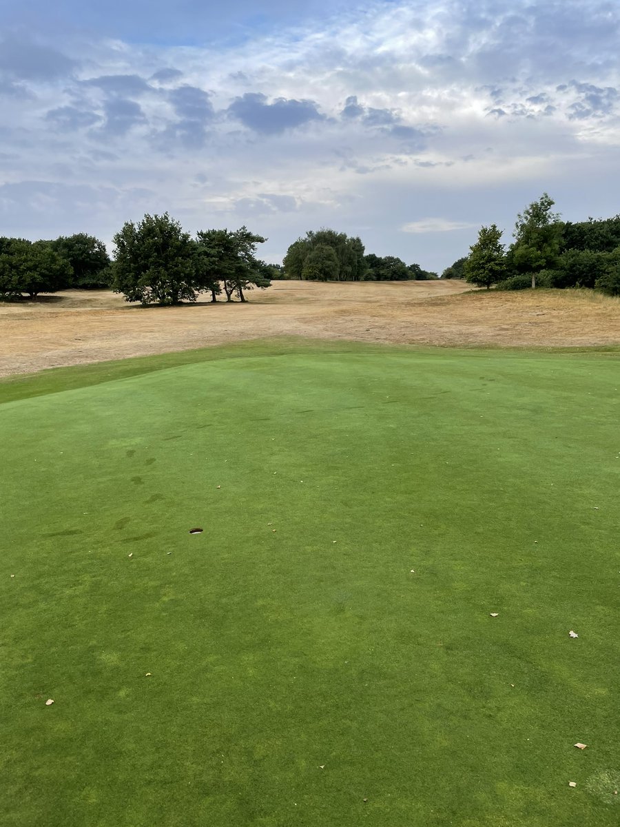 Diss Greens tweet media