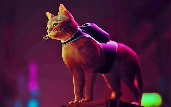 LilDudesDaily's tweet photo. today's lil' fella of the day is the cat from stray!! https://t.co/Io1J0MRtQj