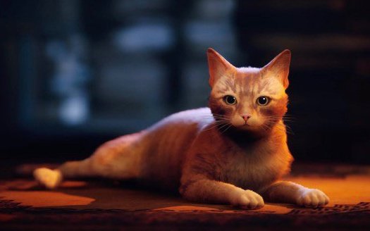LilDudesDaily's tweet photo. today's lil' fella of the day is the cat from stray!! https://t.co/Io1J0MRtQj