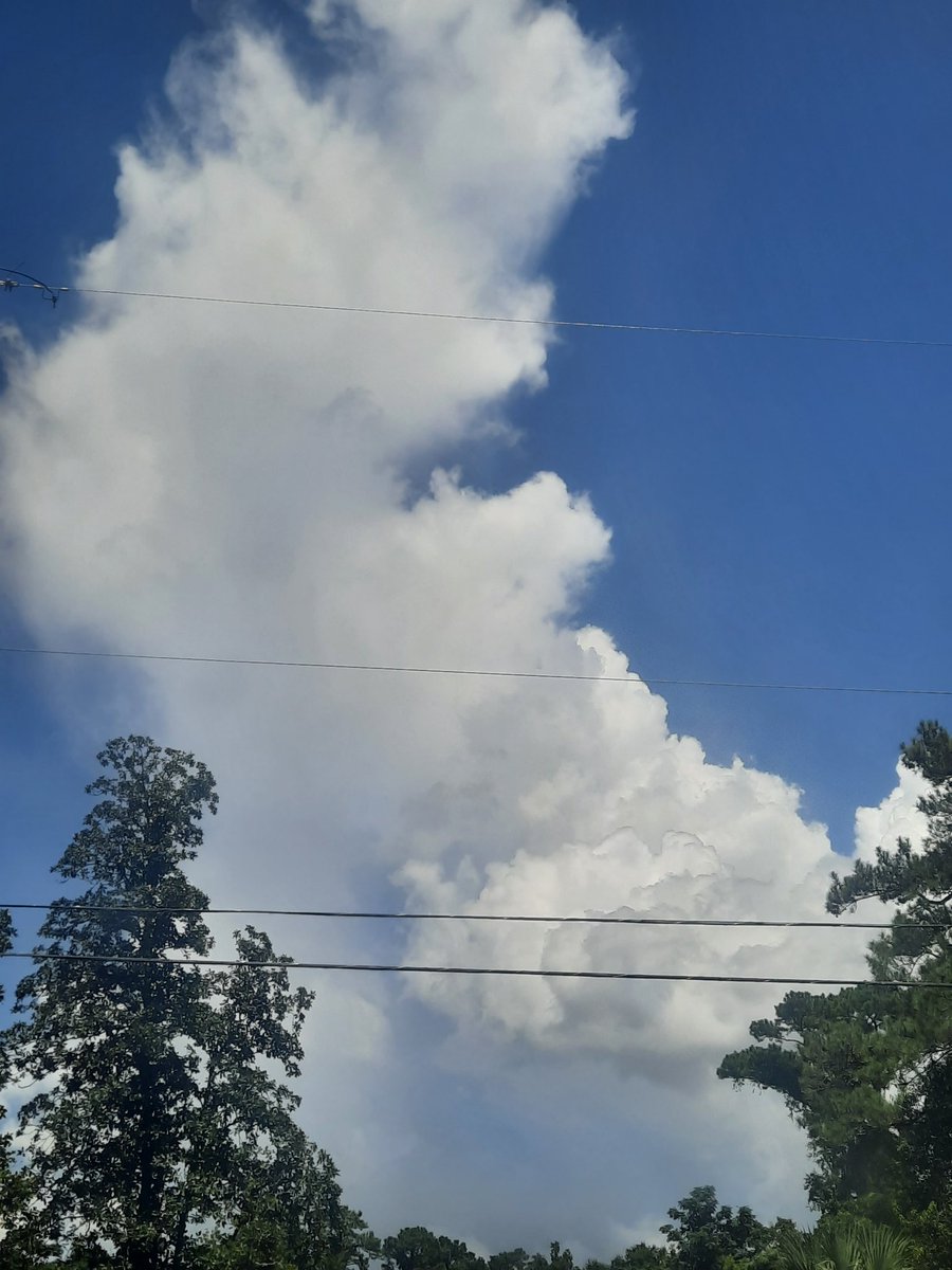 @tracyfromjax @JAclouds @WizardWeather @luketaplin42 @cloudymamma @mypicworld @enjoyscooking @AngelBrise1 @WilliamBug4 @LensAreLive @EarthandClouds2 @PicPoet @atxwxgirl @tonytewitty @KinlochSusan 🙏🏽Indeed 😍❣️Twas so cool to 👀 distant #clouds & rain east of our city this wk #JaxFL #StormHour #ThePhotoHour #AJSGArt #ViaAStockADay #nature #photography #flwx #firstalertwx #weather #virga