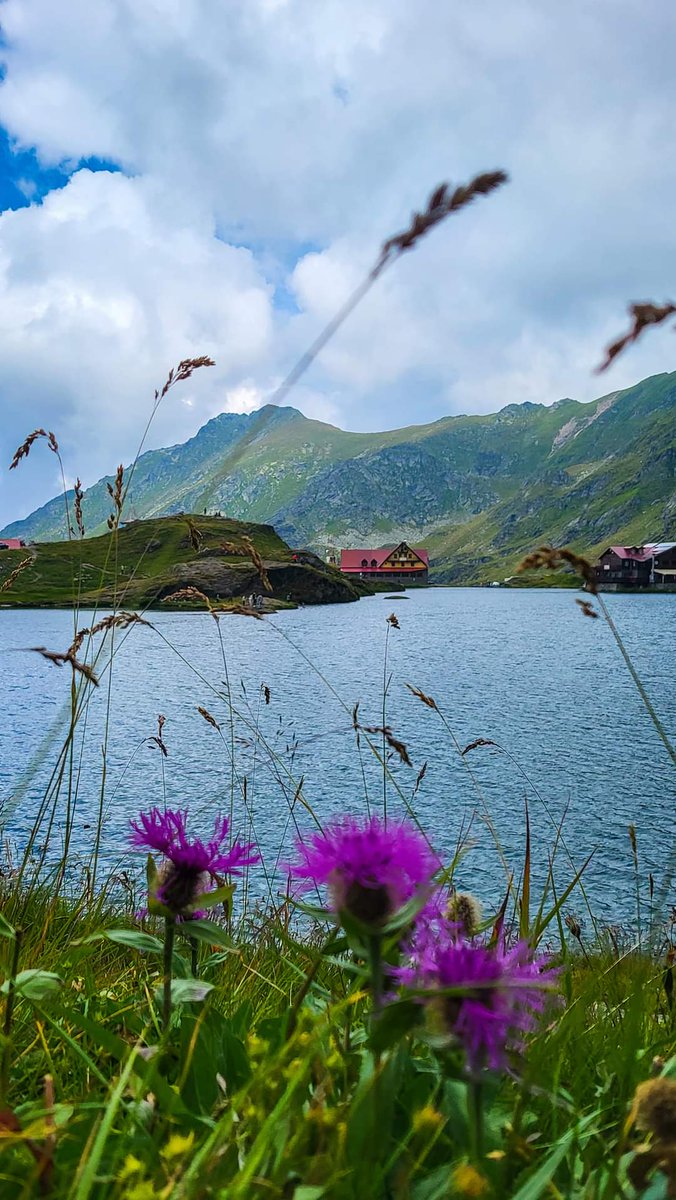 Travel_2Romania's tweet photo. Lacul Bâlea din Munții Făgăraș.
#Fagaras #Mountain
#justphone #Photoshop #bâlea
📸 Mihai Oprescu
#DiscoverRomania https://t.co/drD5KXOUUo