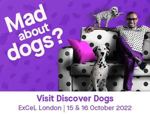 Discover Dogs, run by The Kennel Club, takes place on 15 and 16 October at ExCeL London and tickets are on sale now. Don't miss out on the chance to meet hundreds of breeds, find out about dogs you might never even have heard of and enjoy world-class displays and competitions.