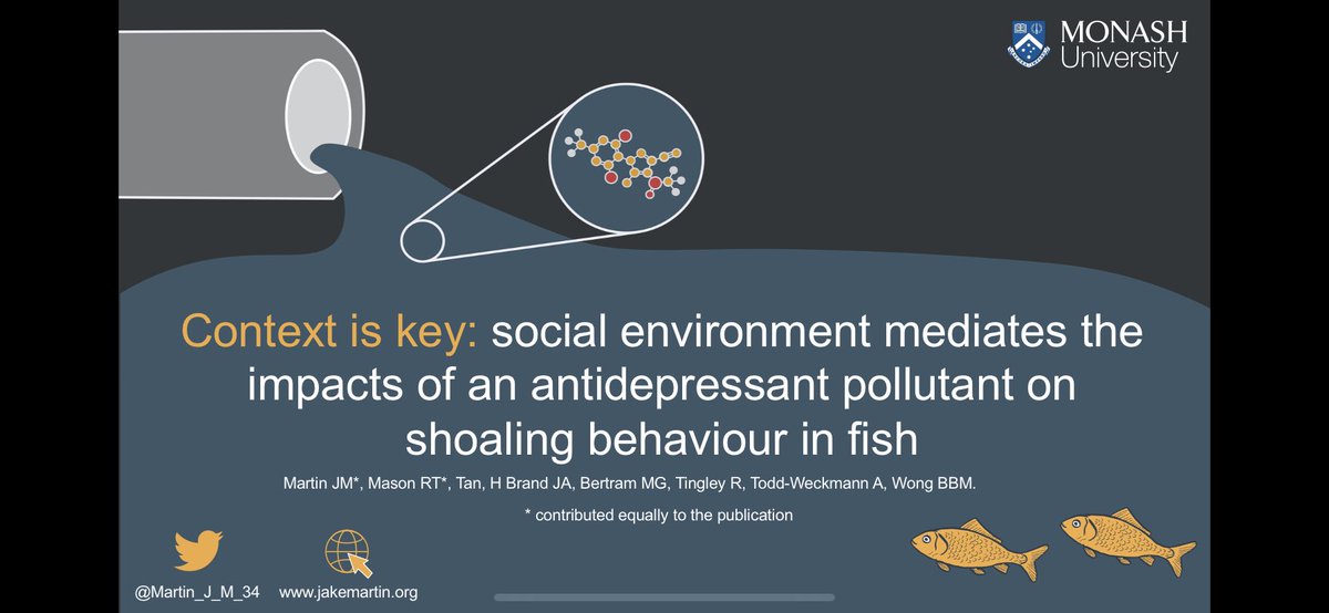 Hej, #ISBE2022 want to hear about drugs 💊, fish 🐟 predator threat and how they interact with social context! Come see my talk tomorrow in the pollution and behaviour session 10:45 room C1. And, as an added bonus, you get to hear @esmccallum awesome talk immediately after mine!