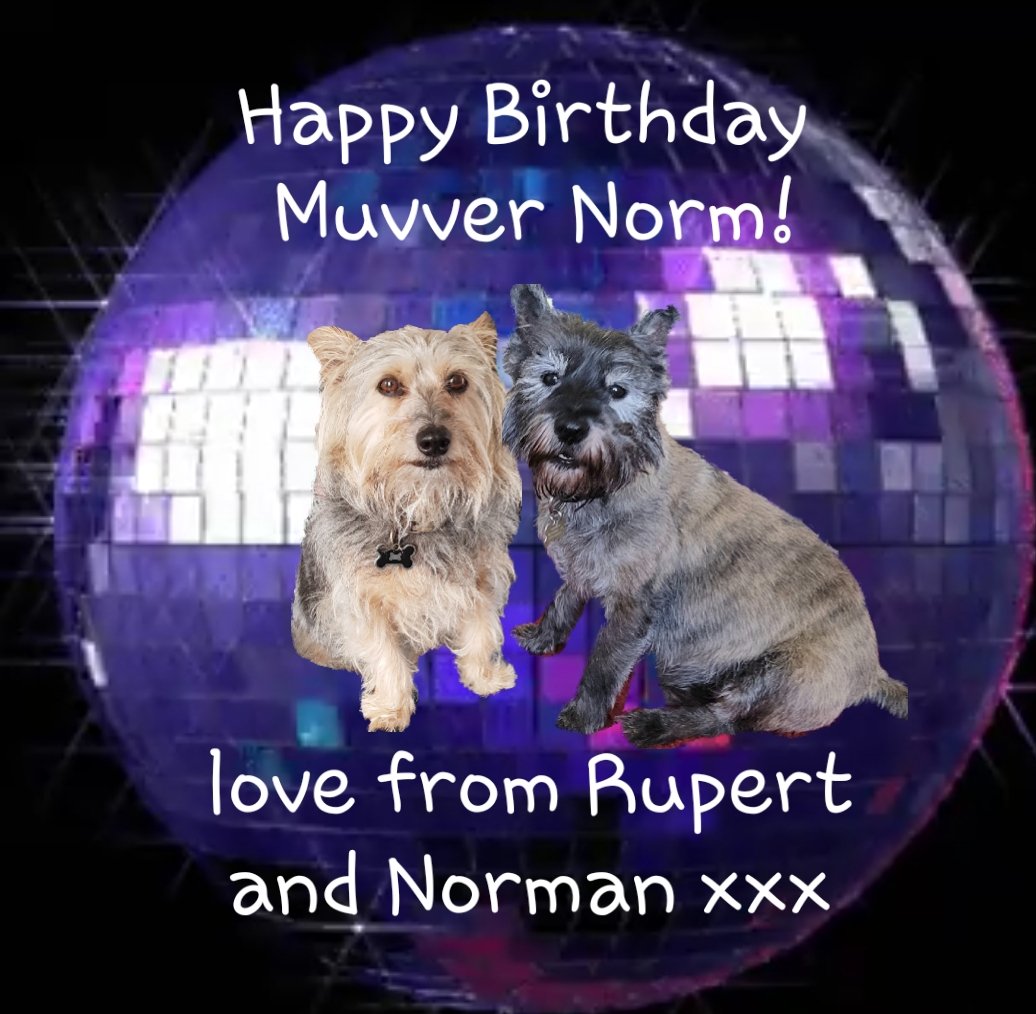 jennystape's tweet photo. Happy Birthday Muvver Norm ๐๐
Love from Rupert and Norman xxx
Fank you for being a Bovver Muvver xx
We know we test yer patience but we love yer really ๐๐๐
@NormanTheCairn @Gifford_Lass #BovverMuvver #BirthdayGirl
#HappyBirthday #DrinksAllRound https://t.co/L7diFNRmUe