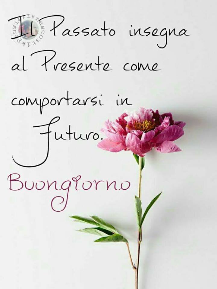 🇮🇹Violetta🇮🇹 tweet media