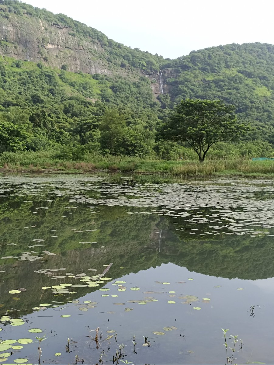 dharmeshbarai's tweet photo. Hidden Paradise of Navi Mumbai 🌿🪖
#Waterfall #nature #water
#WaterfallCleanupDrive
@EnvironmentLife https://t.co/ceqL30jnxs