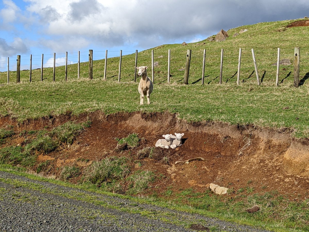 n_i_c_d's tweet photo. Te Uku wind farm for today's bike ride. A bit mucky after weeks of rain but we managed it. https://t.co/tdoXfrc4uM