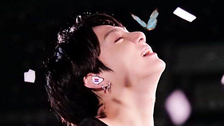 mochilooh's tweet photo. i asked the butterflies what’s their favorite place to land on and they took me here…༊·˚ https://t.co/lYcDofhOgI