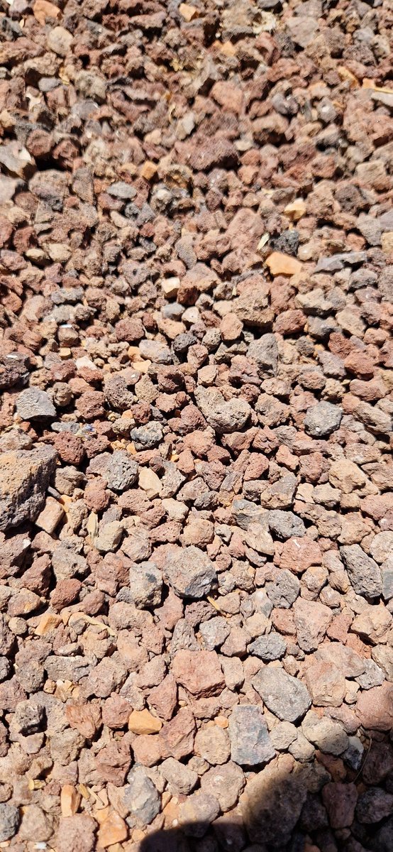 Efecto Directo tweet media