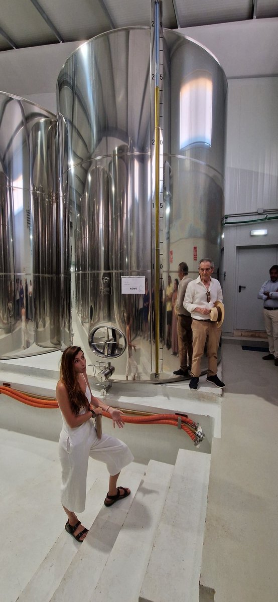 Efecto Directo tweet media