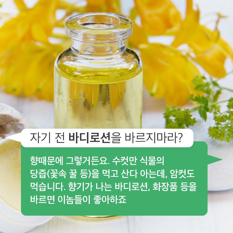 유용한 정보 저장계 tweet media