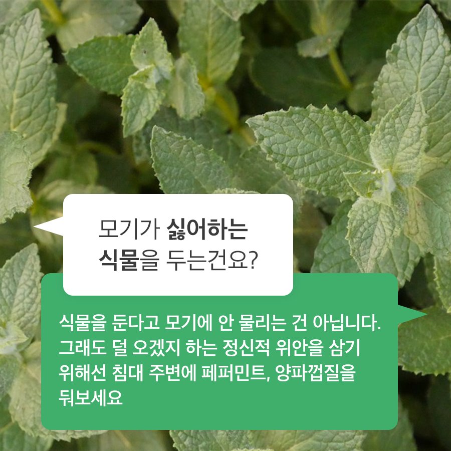 유용한 정보 저장계 tweet media