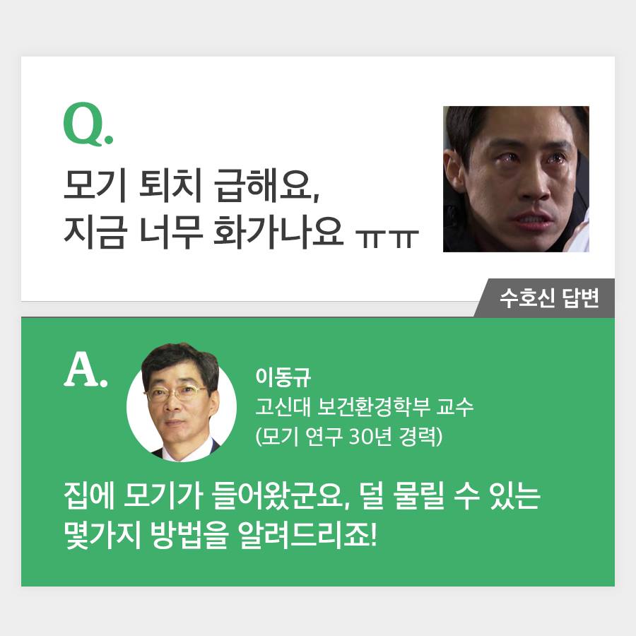 유용한 정보 저장계 tweet media