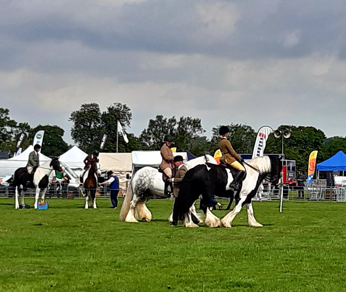ericslackhouse's tweet photo. Enjoyed seeing the horses 
Then more horses 
No sheep or cattle 
Got the wrong day 
#borderunionshow https://t.co/yY9RNfrDR1