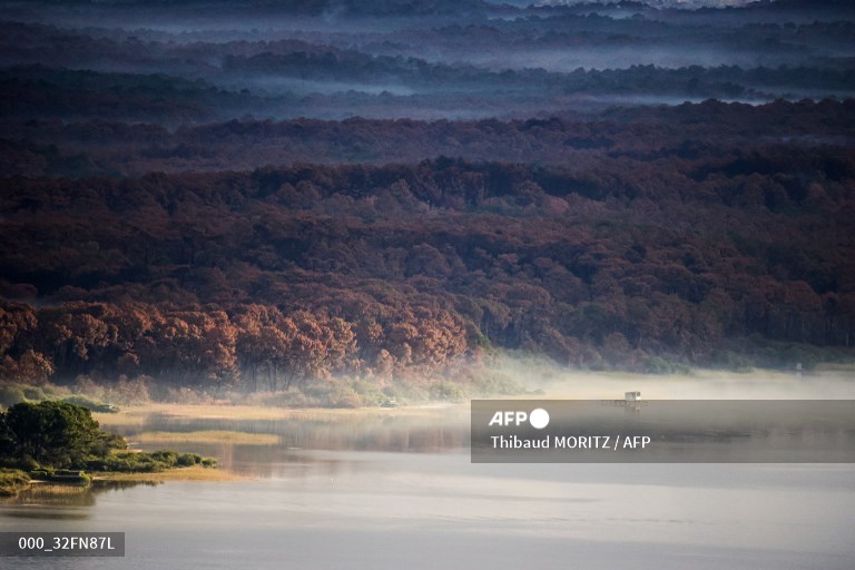 AFPphoto's tweet photo. #France - Aerial views taken by #AFP Thibaud Moritz show burnt forest area after wildfires near La Teste-de-Buch. https://t.co/n7szlJHwpC