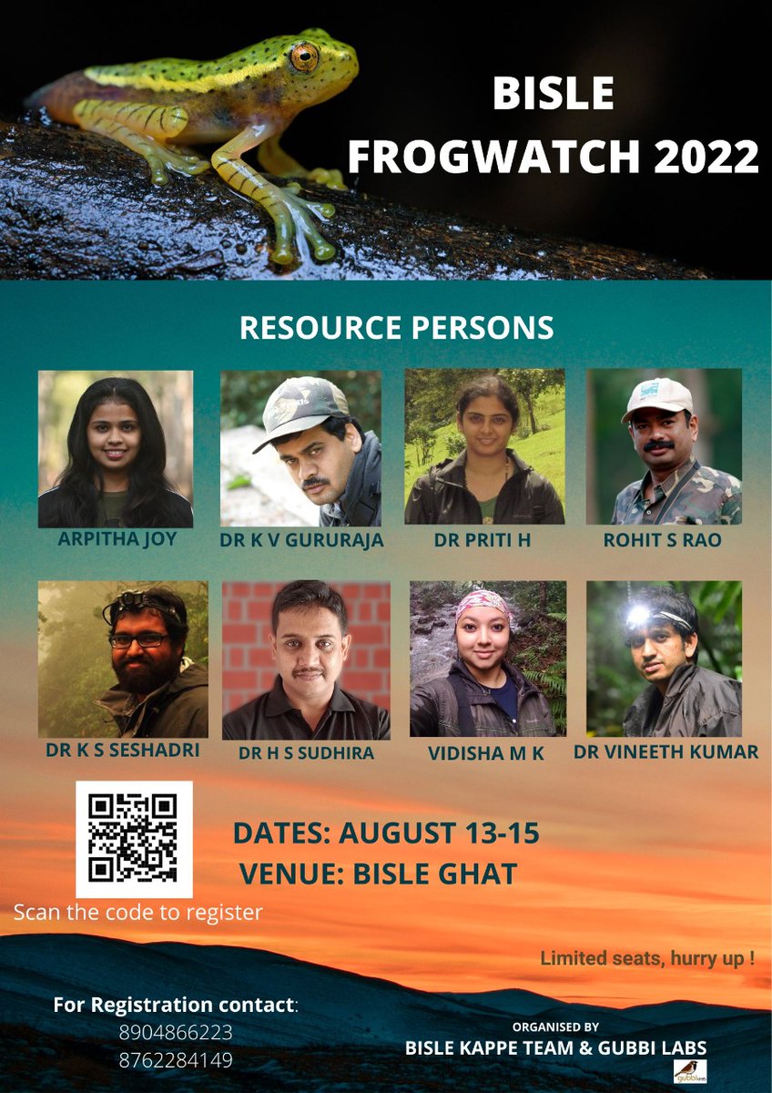 gubbilabs's tweet photo. Bisle Frog Watch is here! It's been a decade since we started... 
Contact details are on the poster.
#Bisle #Frogs #Frogwatch https://t.co/cjOp7FLpIQ