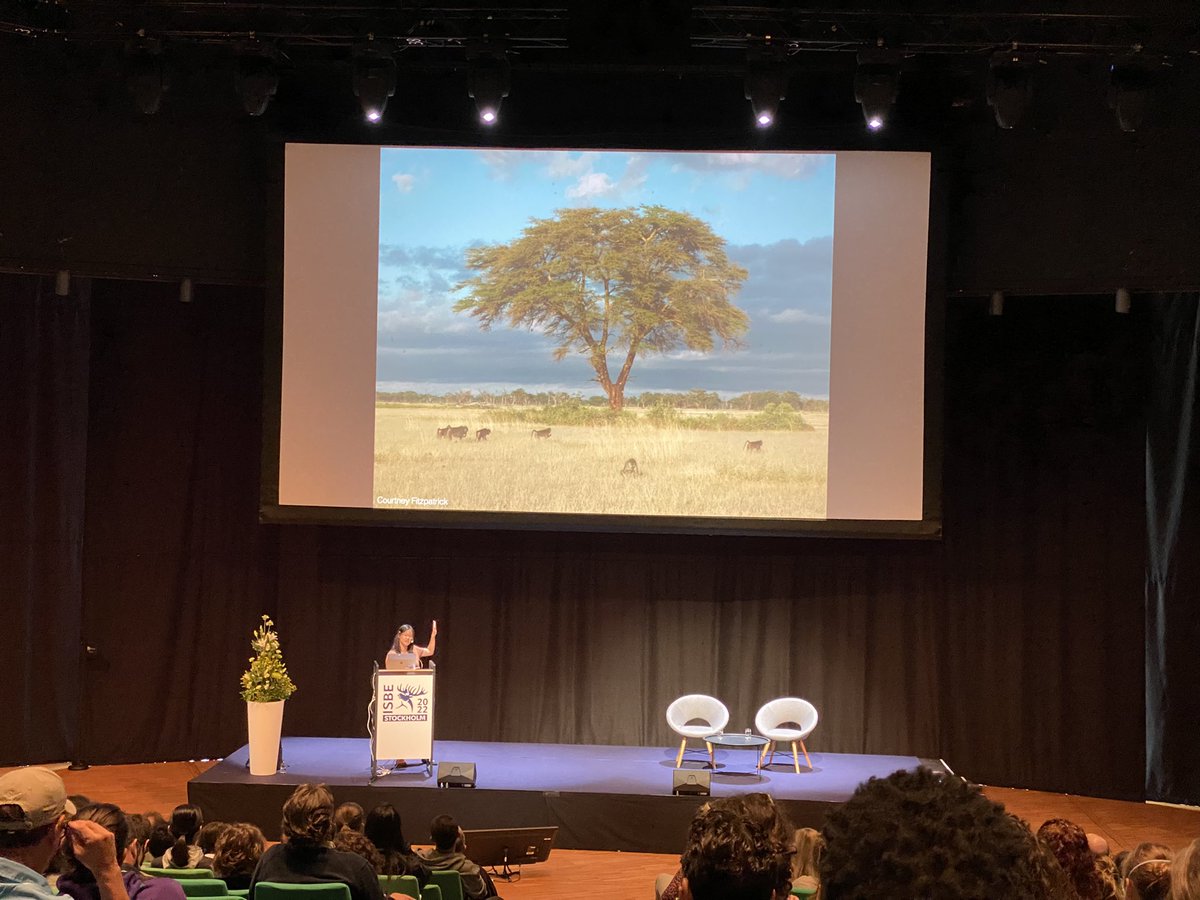 considerSTRANGE's tweet photo. Kicking off day 2 with Jenny Tung @jtung5 with her elegant studies on envious long term data, showing that the social environment regulates gene expression in wild baboons #ISBE2022 https://t.co/FlYgEHrq9l