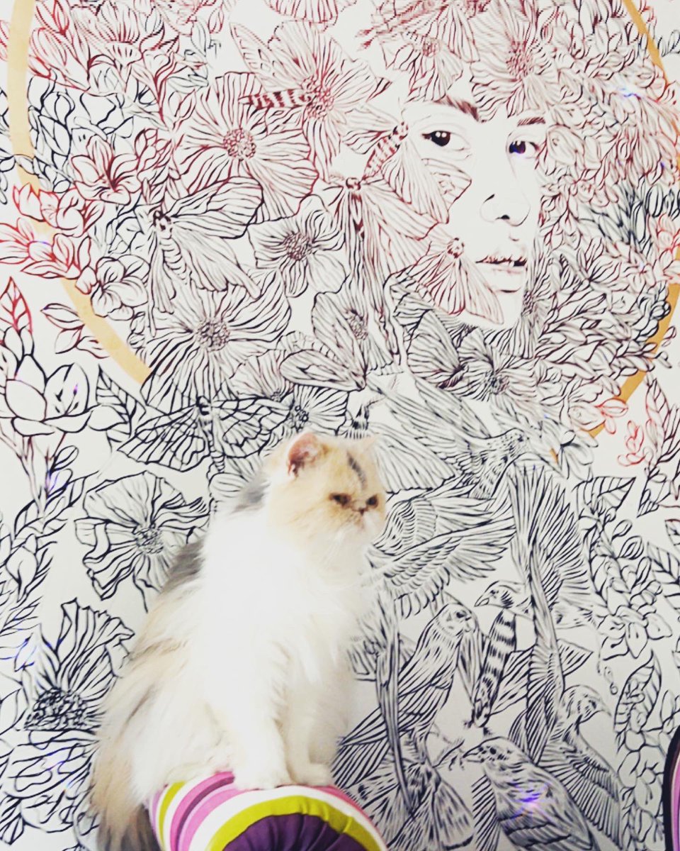 GraceWaring22's tweet photo. Good morning. Happy caturday @jdemontaigne π». How are you all feline today?
#GrumpyBlueCat #Cats #cat #catlife #pets #catlovers #catworld #catworld #catpic #catpics #catphotography @J_DEMONTAIGNE #artist #art #beauty #love https://t.co/D7GzbZjEEJ