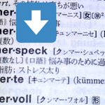 悩み事のために過食してついた皮下脂肪…ドイツ語で「悲しみベーコン」と言う…