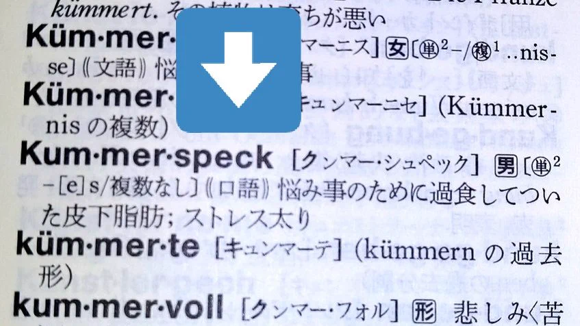 悩み事のために過食してついた皮下脂肪…ドイツ語で「悲しみベーコン」と言う…