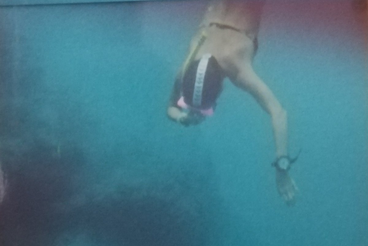ArturoRamiroPp's tweet photo. #buceo 🤿
#pescasubmarina
#Tabarca
#PlayaLisa
#Pasiones
Aquí estoy
buceando
entre mis
recuerdos.
Lo de Elena del Mar 🧜 🌊 🧜
es por varias razones 🙄 😅 https://t.co/G4QFbo4fTf