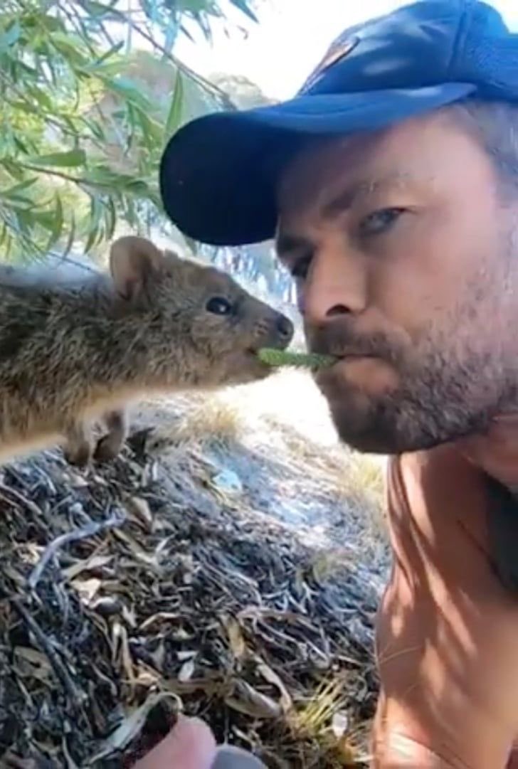 Вот примерно это же будет  происходить если мы будем близко общаться - да, я просто не смогу отлипнуть от вас🥰