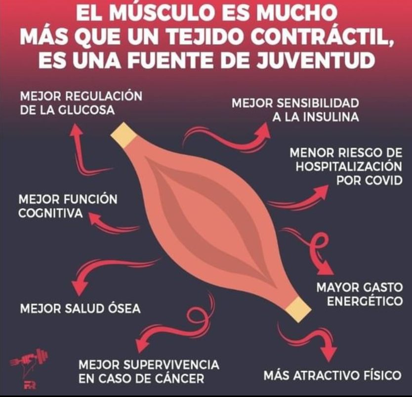 FITrebelde's tweet photo. Si quieres mejorar tu salud, entrena tu fuerza. https://t.co/Rk9BV4FbQq