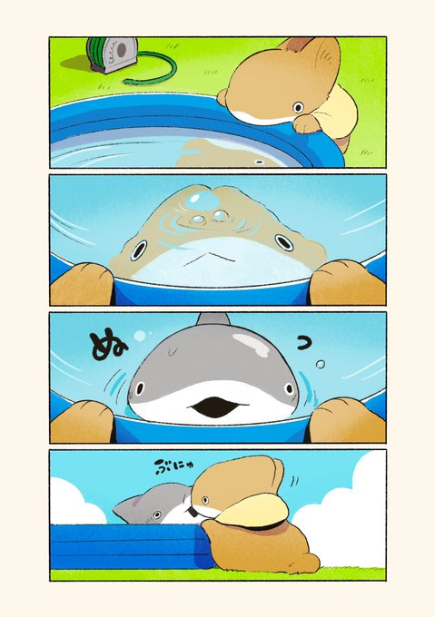 ザメちゃん確認 子ザメとうさめちゃん | ペンギンボックス@子ザメ7巻&映画化