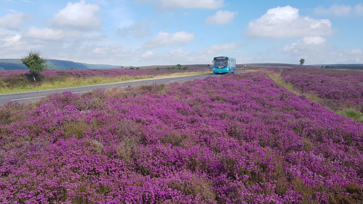 Fancy a car - free day this holiday? Find out where <a href="/Moorsbus/">Moorsbus</a> can take you on and around the wonderful <a href="/northyorkmoors/">North York Moors NP</a> National Park this weekend. moorsbus.org <a href="/VisitRyedale/">VisitRyedale</a> <a href="/VisitYork/">✨ Visit York ✨</a> <a href="/Welcome2Yorks/">Welcome to Yorkshire</a>