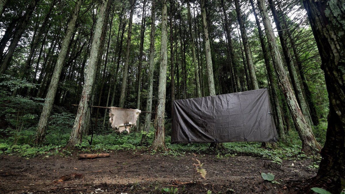 今夜、10時になります