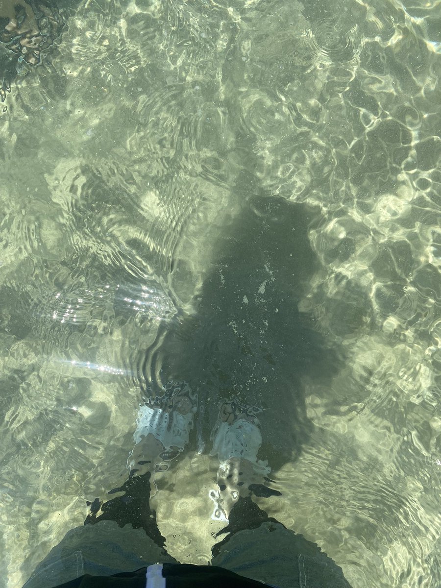 Hotaru_0509's tweet photo. お疲れ様です⊂⌒っ´ω`)っ

浦富海岸に行ってきました🌊✨

やっぱりめちゃくちゃキレイだった！

そしてRouteイナバ！！

 #鳥取
 #浦富
 #海
 #夏
 #Route178 https://t.co/4SHZH8QwuE