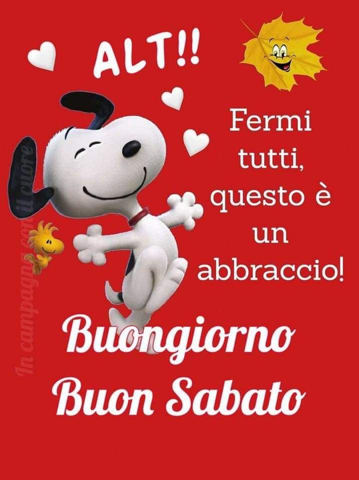 🧡👒 Samantha Chiara 🧡🔆🍂👒 tweet media