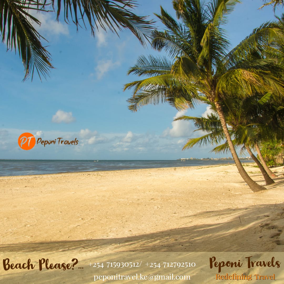 TravelPeponi's tweet photo. @WhyTravelIsLife Discover Magical Kenya. Beach or Safari we got you💯 https://t.co/IYAWWqUxML