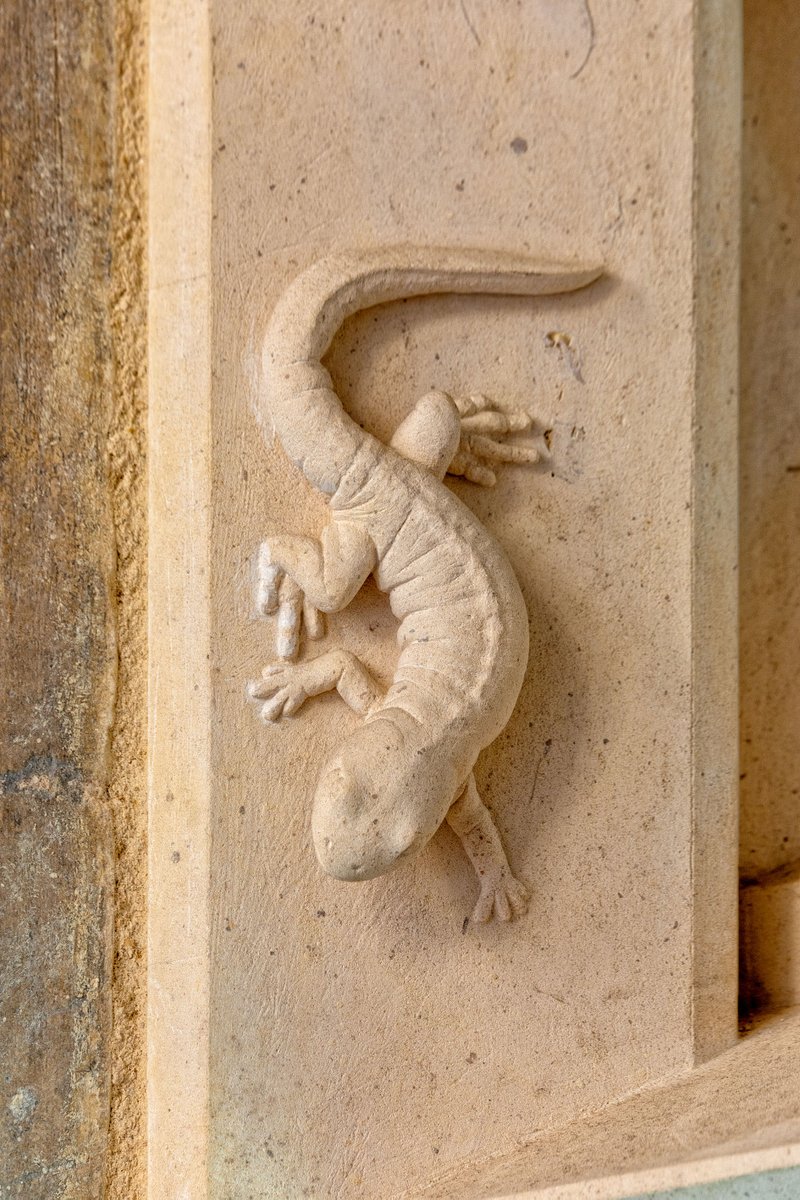 Have you ever spotted this creature in the Cathedral before? 👀

Take part in our Noah's Ark Family Trail to find him, along with a number of other animals hidden in the Cathedral 🌈

Find out more about the trail here 👉 bit.ly/3PIfk25