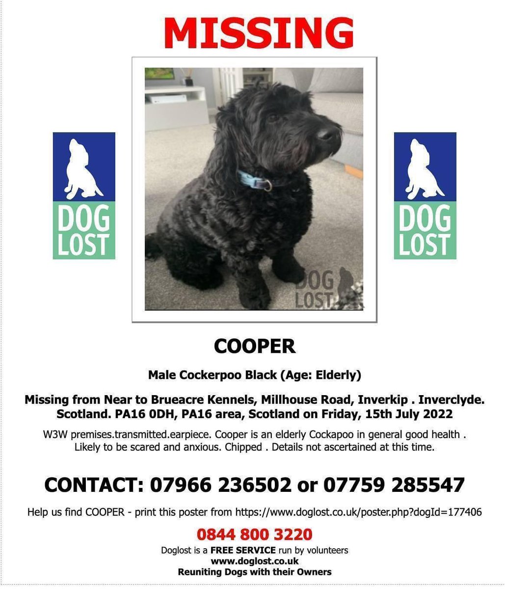 DeerhoundRhodry's tweet photo. This poor little guy is lost around #inverkip #scotland. Please keep an eye out for him, the owners are desperate to get him home 😢🐾
#findcooper 

https://t.co/xQ5v400E0b https://t.co/4jGSGzpfeh