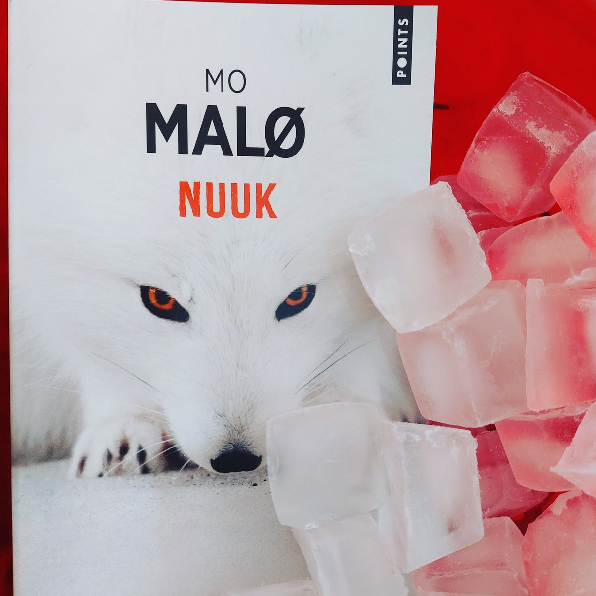 ULDMB's tweet photo. La série Qaanaaq de #momalo devrait être remboursée par la Sécu en temps de canicule! ❄️❄️❄️
https://t.co/KtOrcjstHu
@EditionsPoints 
#groenland
#fraicheurassurée
#unlivredansmabaignoire 🛀📖 https://t.co/vh3t8kiQDQ