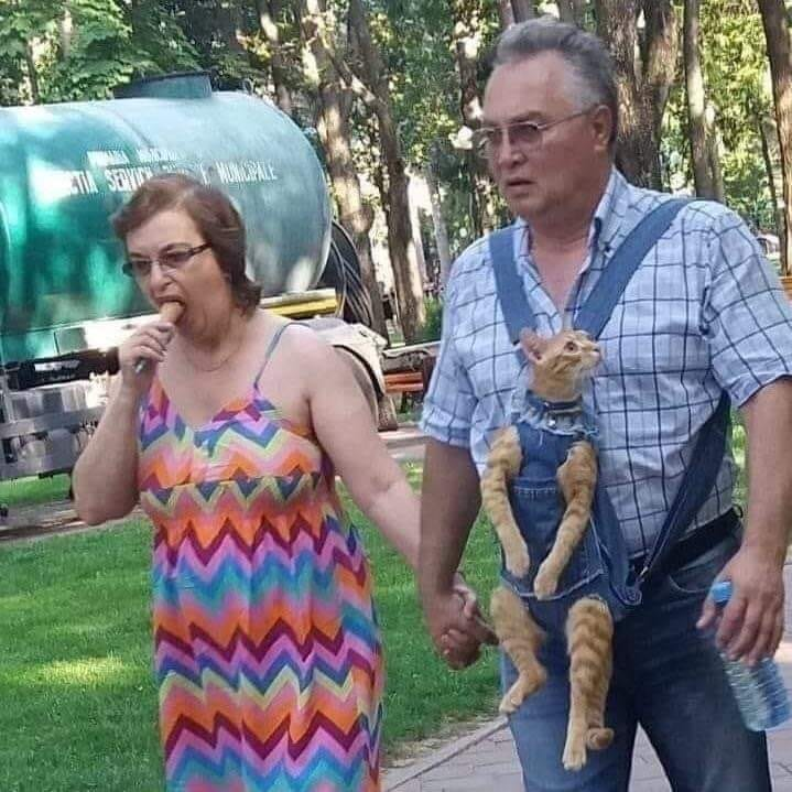 _onerolita's tweet image. kien para,,,