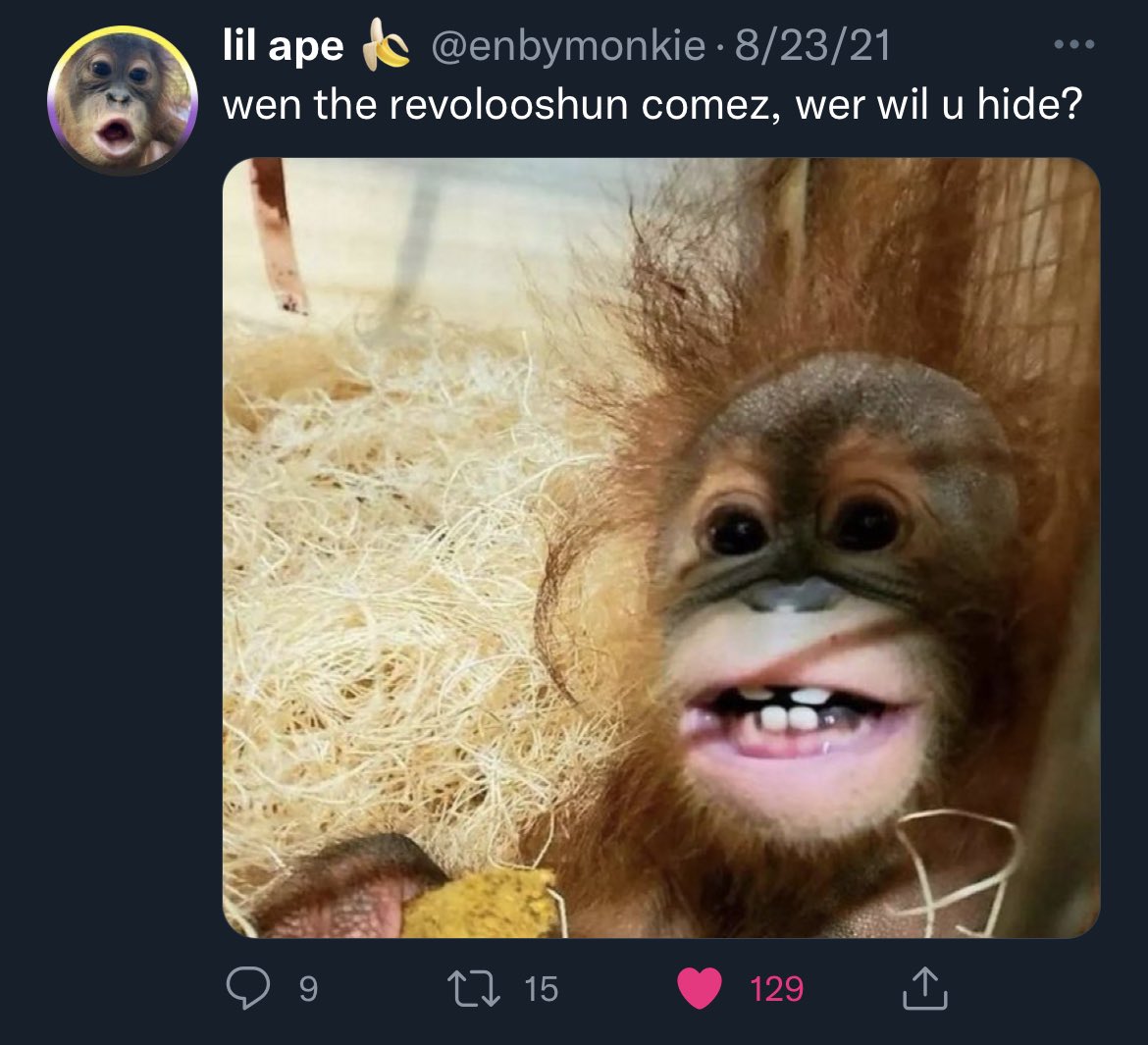 afool4apes's tweet image. 