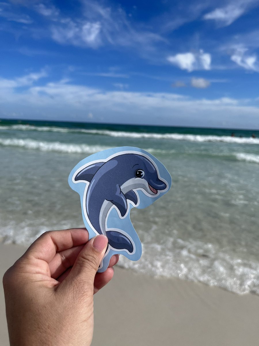 DASH is enjoying the last few days of summer vacation☀️with his friends at the beach! 🏖 <a href="/DolvinES/">Dolvin ES</a> #DolvIncredible