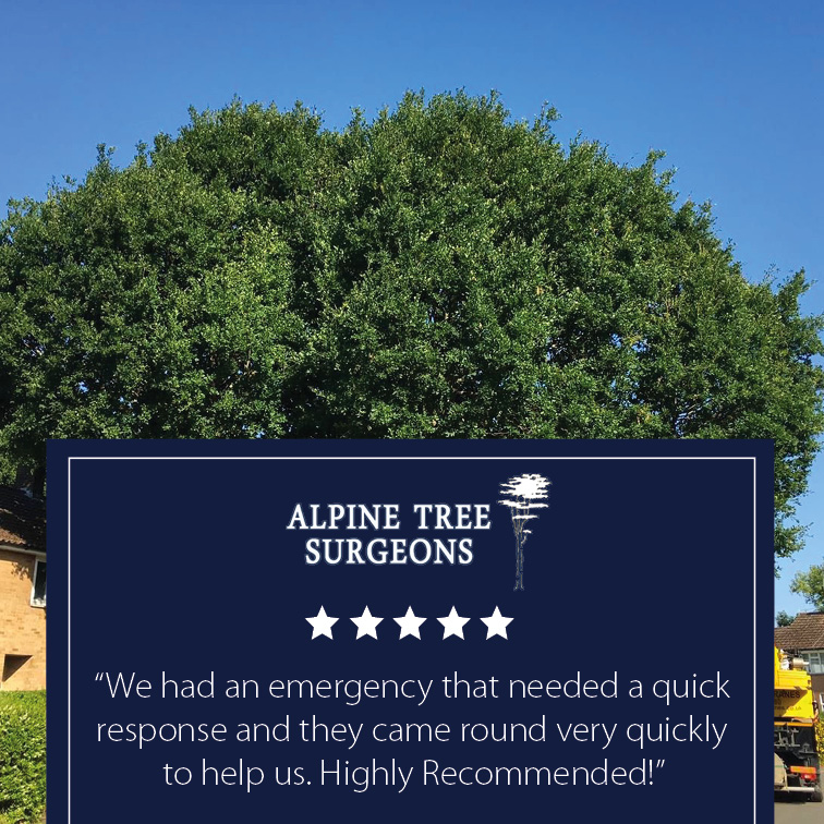 The Directory Group tweet media