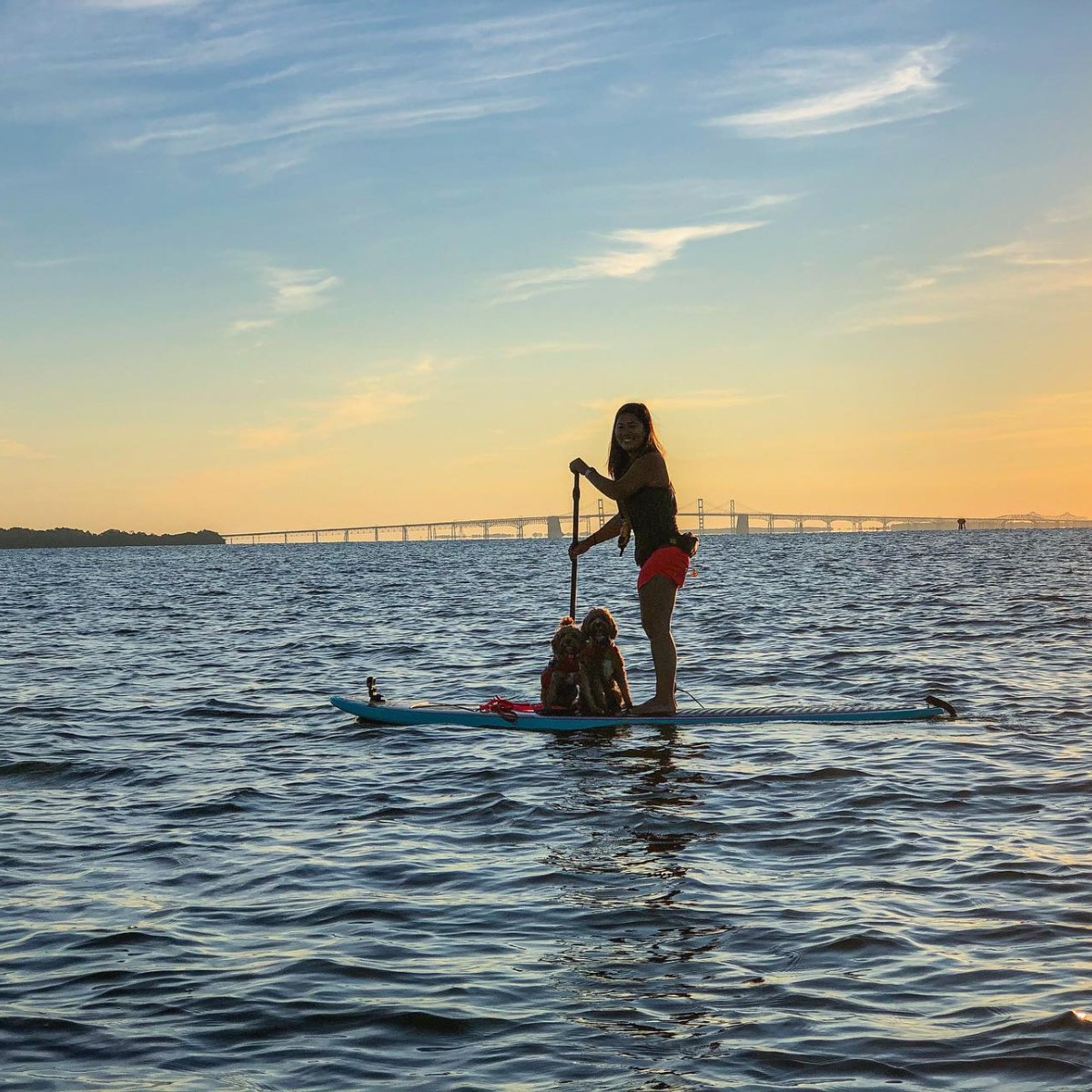 VisitAnnapolis's tweet photo. Navigate Uncharted Waters! You are never far from the water in #Annapolis & Anne Arundel County. πΈ @with.love.kaden.and.adalynn #summer #bucketlist #greatoutdoors #pupfriendly #paddleboard #onthewater #thingstodo #vacation #travel #yappyhour #capitalSUP #chesapeakebay #sunrise https://t.co/RsxQznoBTY