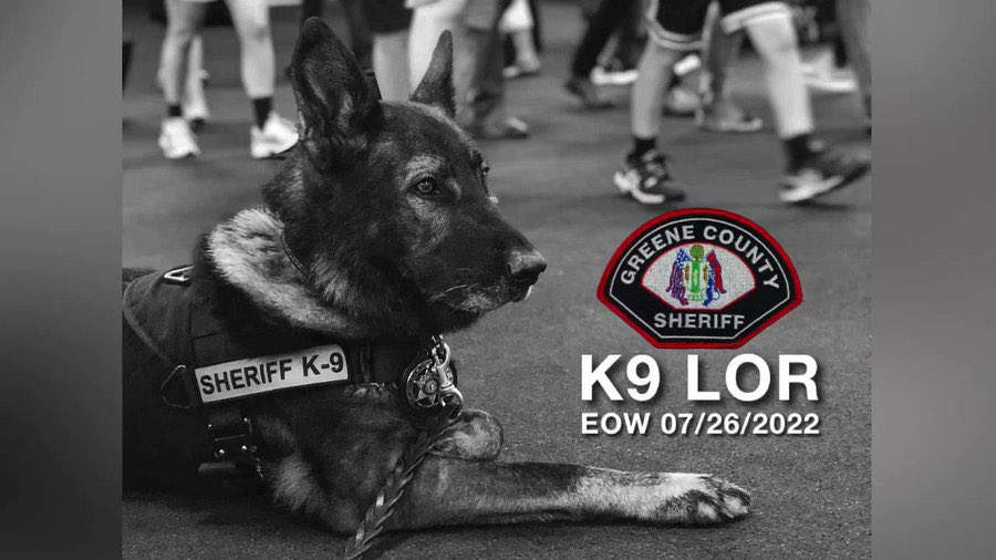 @nuttycrzygirl @JamesCraigmyle R.I.P. #K9Lor💙🐾🙏🏼🐾💙  Forever in our hearts❤️😪