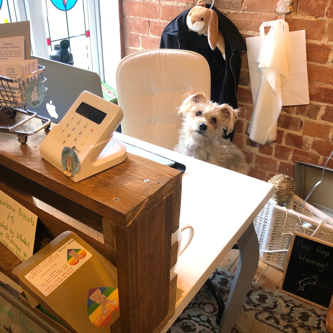 RabbitRetailUK's tweet image. Teddy from @AylesburyEcoStores here. I’m looking after the shop for the last hour as Anna has gone for a nap. #ChronicFatigue #SpoonieLife #TedTakeOver #NotJust4Rabbits  #Bunny #Rabbit #OneHopShop #RabbitRetail