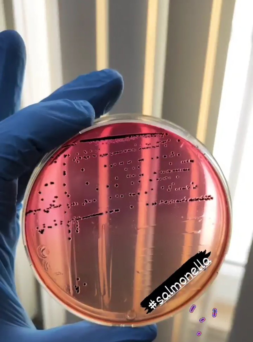 sefaa_isik's tweet photo. #foodsafety #salmonella #xldagar https://t.co/qolEBwpESn